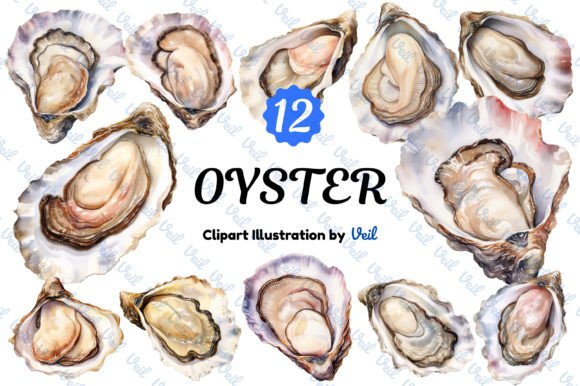 Download Oyster Clipart Watercolor Bundle - Premium Bundle